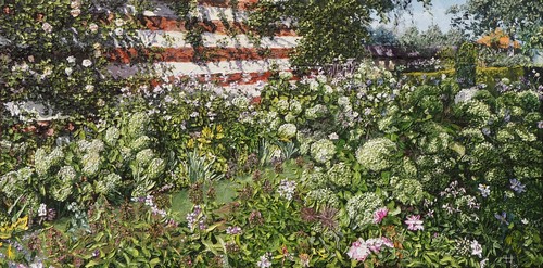 hortensias à Maizicourt