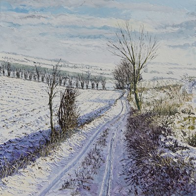 chemin enneigé 1