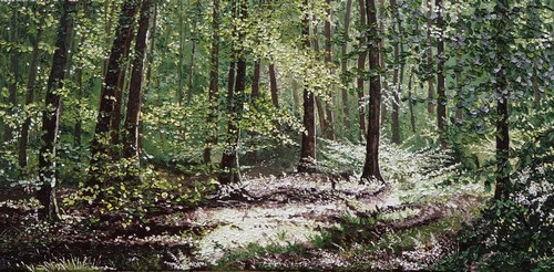 fin d`été en forêt