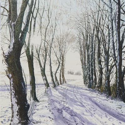 le soleil joue avec la neige 1