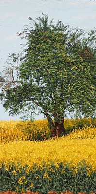 L`arbre et le colza. 2011. 80cmx40cm.